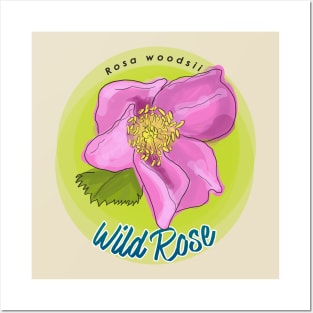 Wild Rose Posters and Art